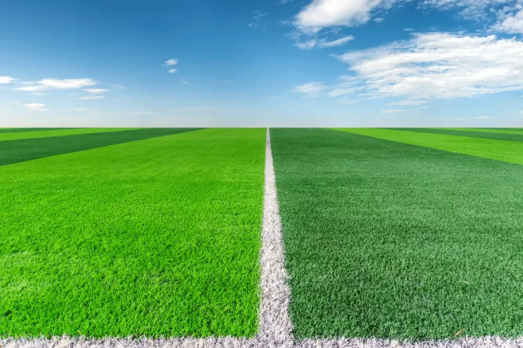 artificial grass vs natural grass