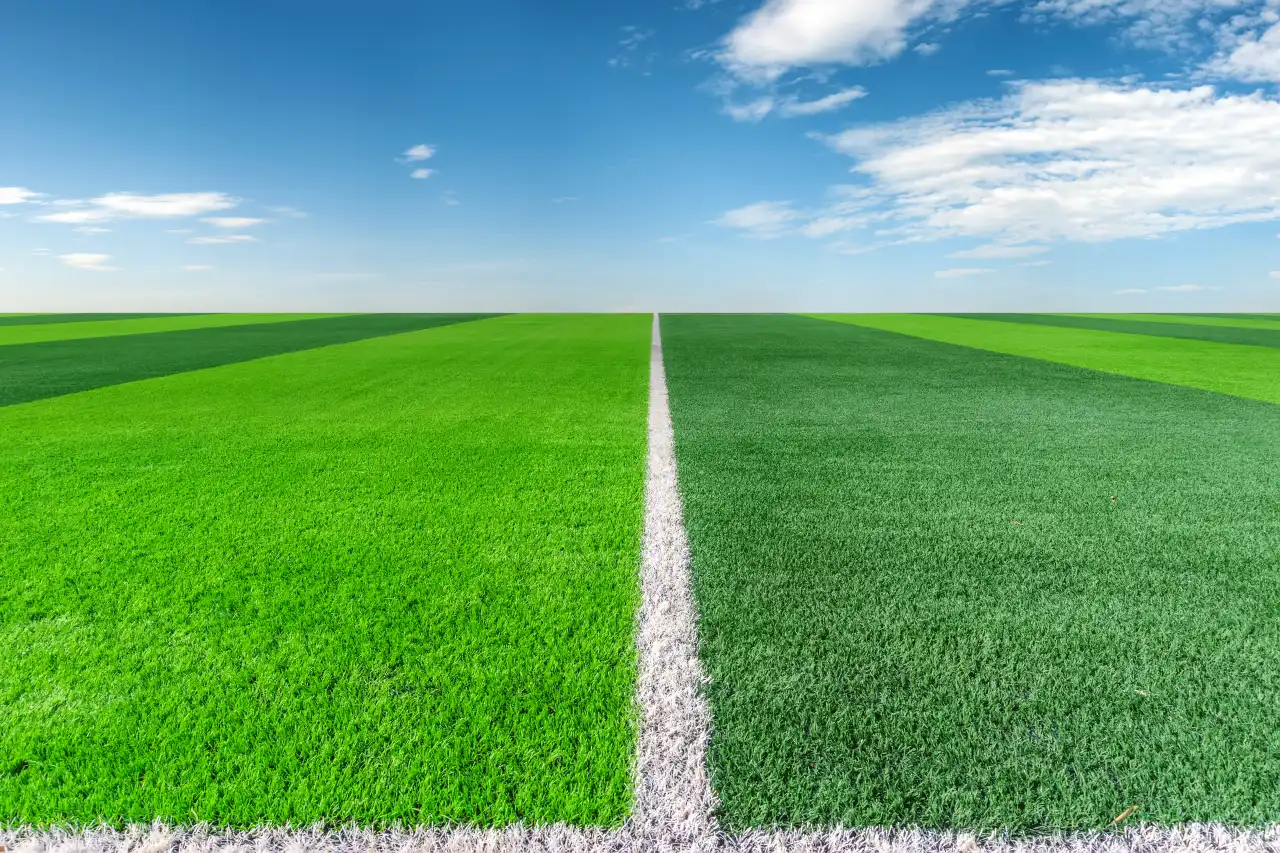 artificial grass vs natural grass