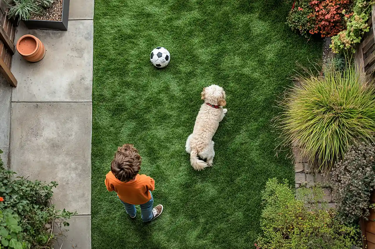 artificial grass for pets